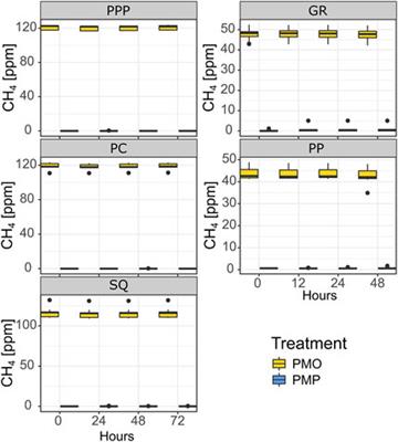 Identifying Sources and Oxidation of Methane in Standing Dead Trees in Freshwater Forested Wetlands